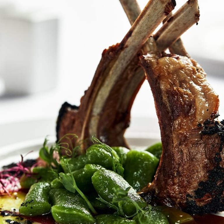 Dinner Options to Savor
